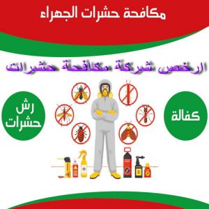 مكافحة حشرات الجهراء