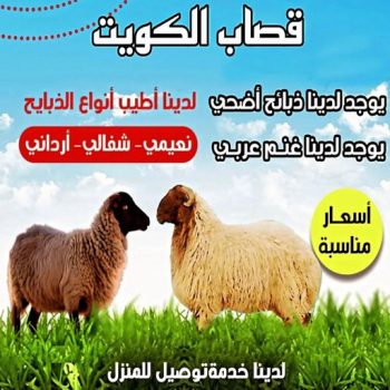 قصاب - قصاب متنقل - ابومحمود📞97703279 - ذبايح - ذبائح الكويت - غنم للبيع - اغنام للبيع - ذبايح للبيع - غنم - سوق غنم - اغنام عربي للبيع - جزار - ذبائح
