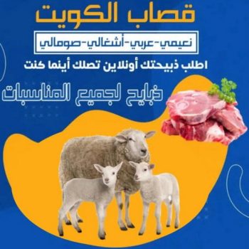 قص اغنام - تقليم اظافر - ابومحمود📞97703279 - اغنام الكويت - جز غنم - جز اغنام - جز صوف - حلاق اغنام - حلاق غنم - جز