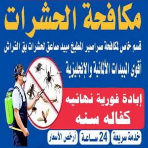 مكافحة الحشرات