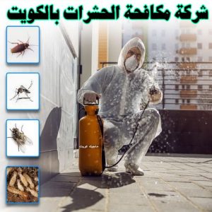 مكافحة حشرات رخيصة مكافحة قوارض - مكافحة حشرات وقوارض - الاتصال 50464050 - شركة حشرات - مكافحة حشرات - شركة مكافحة حشرات - مكافحة بق - مكافحة حشرات الجهراء - مكافحة حشرات الكويت